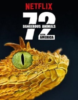 72 Animales Peligrosos: América Latina